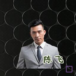 陈飞